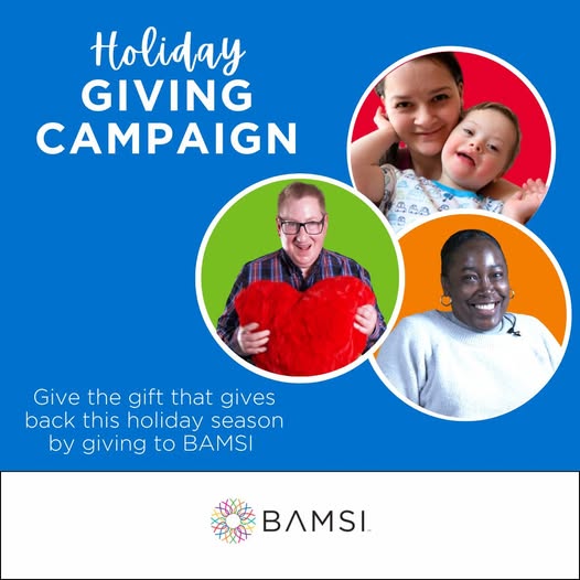 Typical activities carried out by 15/17 AUSTRAL DRIVE LIMITED